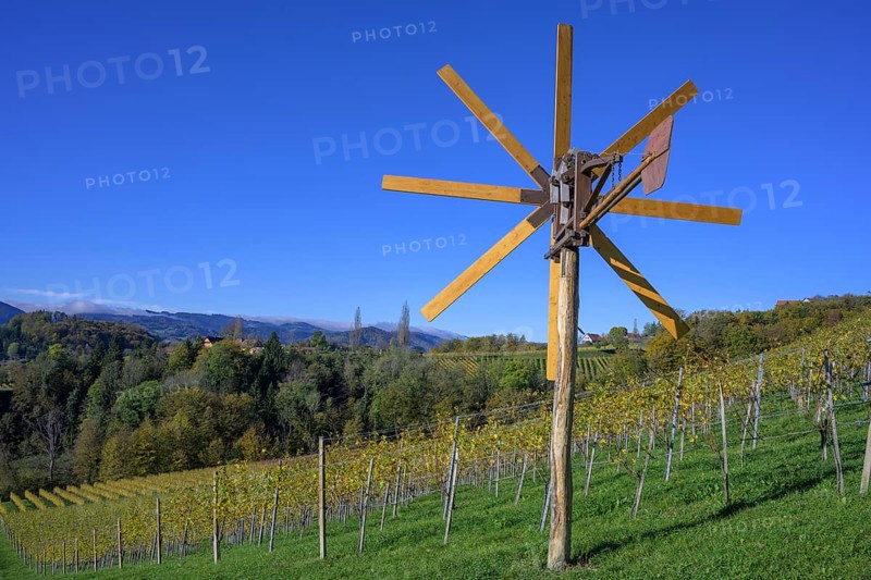 Klapotetz and vineyards