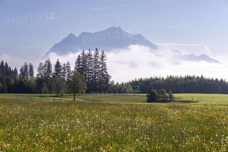 View from the Wittelsbacher Hoehe to the Gruenten