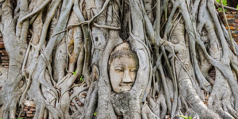 Sandstone head of a Buddha statue