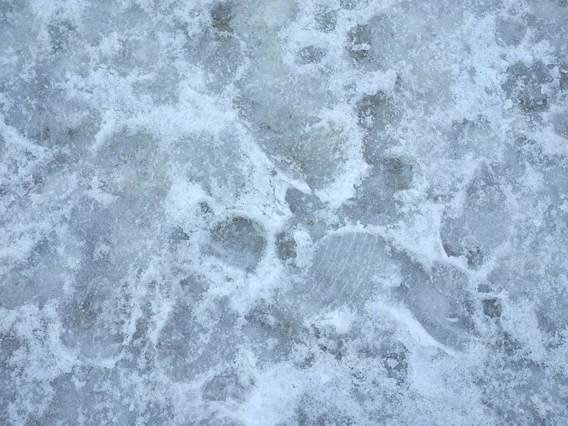 White ice texture background