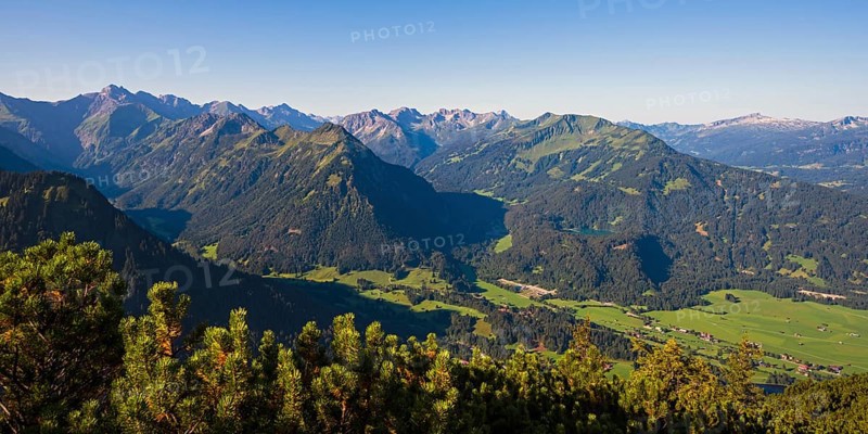 Panorama from Schattenberg