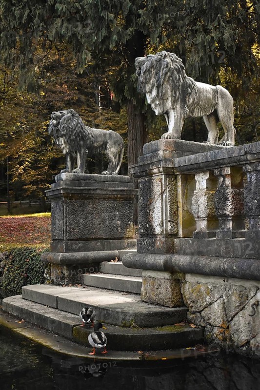 Two lion statues on a stone staircase leading to a small pond