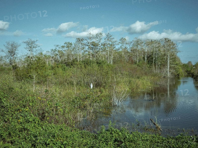 Water arm
