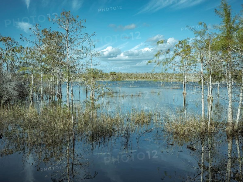 Lagoon