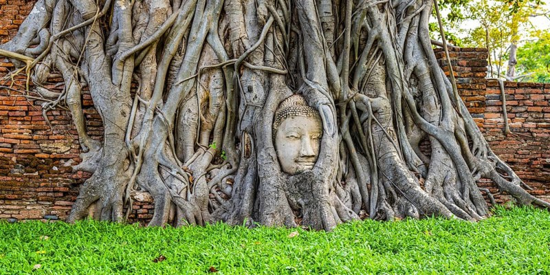 Sandstone head of a Buddha statue