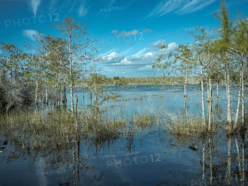 Lagoon