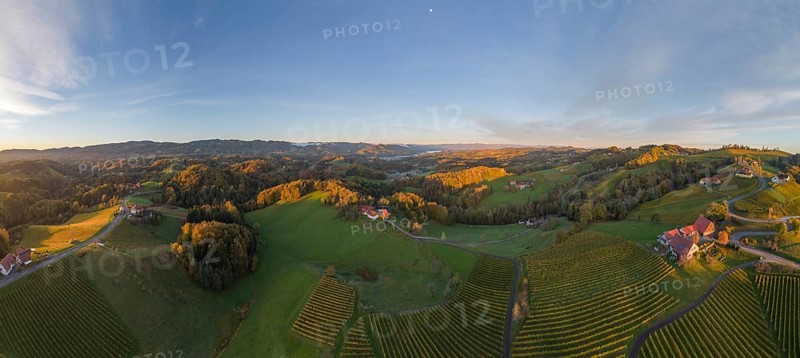 Aerial view of vineyards in the morning light