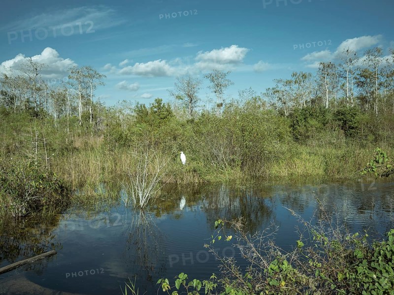Water arm