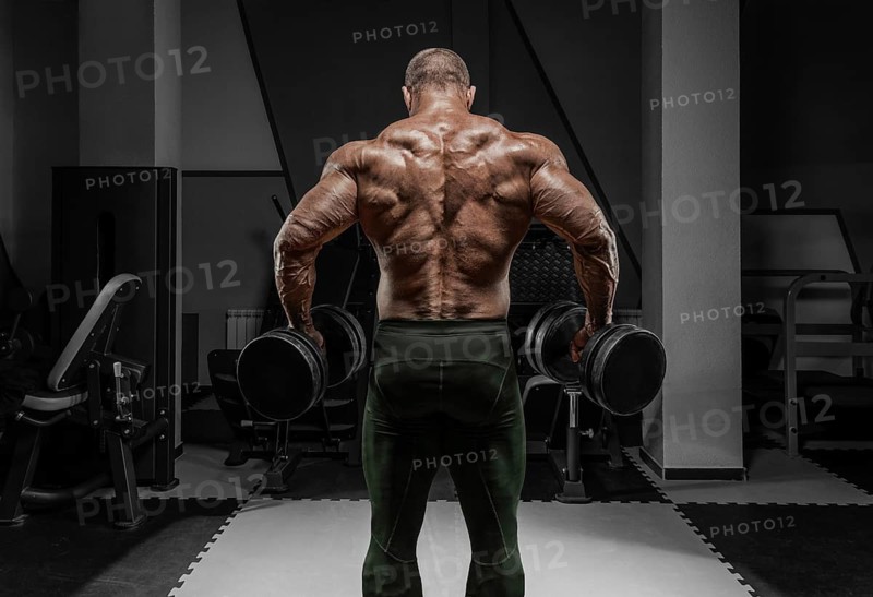 Professional weightlifter is training in the gym. Back exercises. Bodybuilding concept.