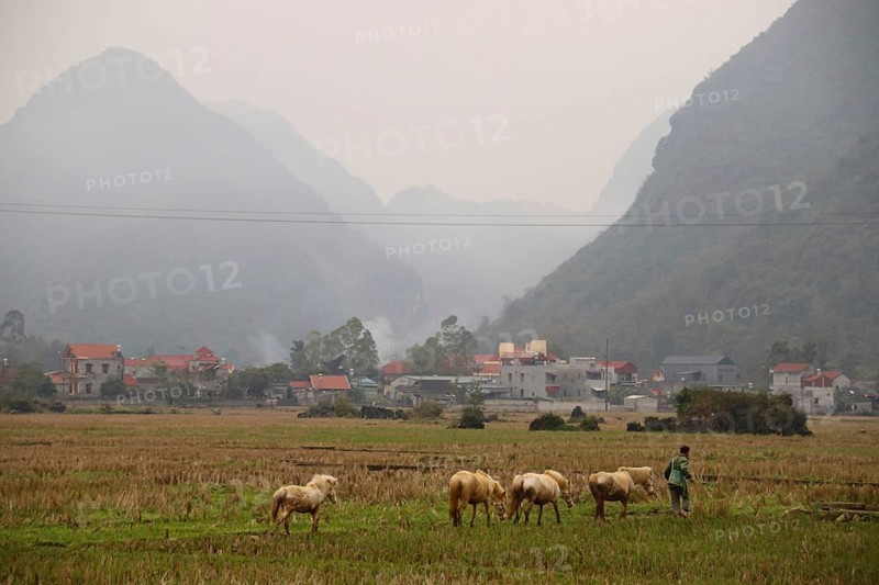 Beautiful foggy winter scene of Bac Son Valley in Lang Son Province in the Northeast region of Vietnam