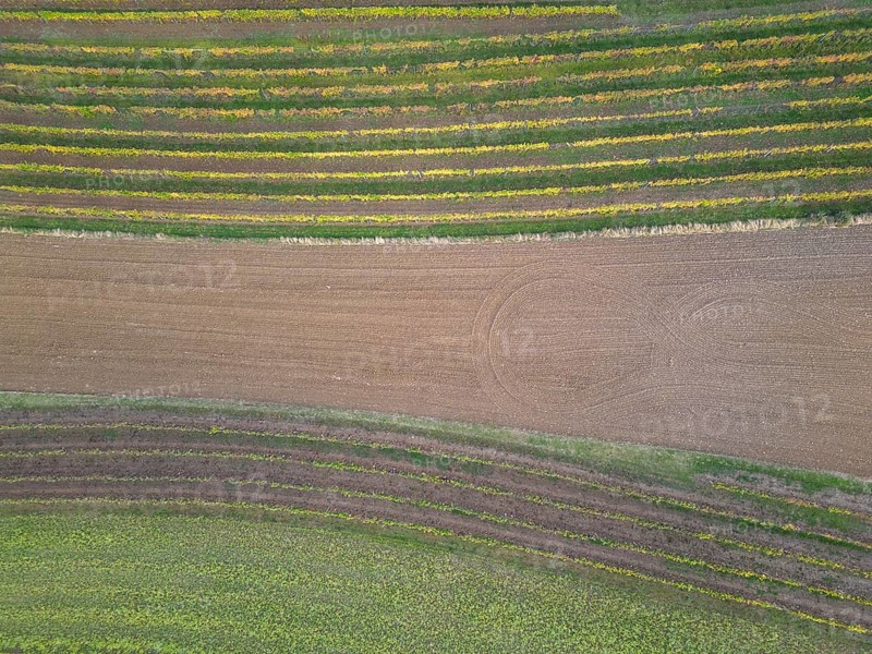 Aerial view of fields and vines on the Grossauerhoehe