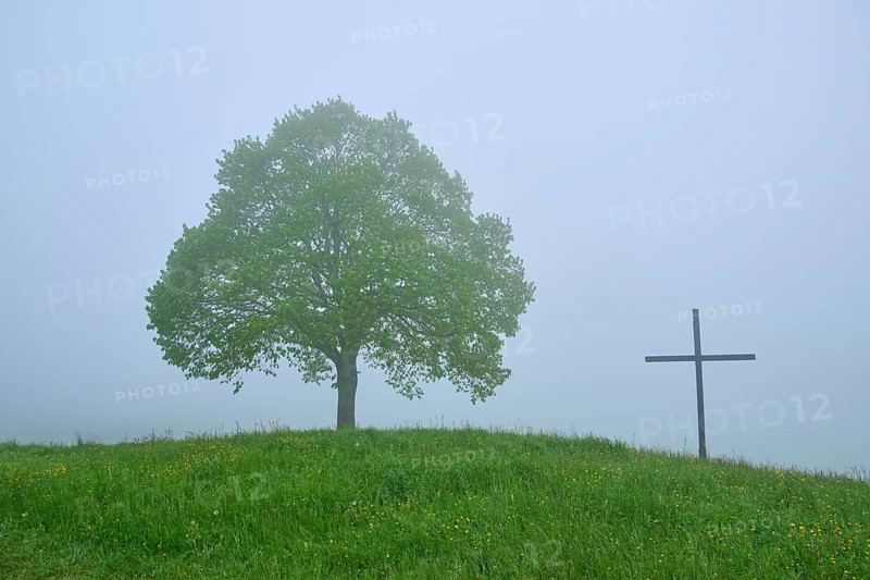 A lonely tree and cross on a misty hill
