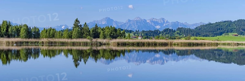 Panorama at Schmutterweiher