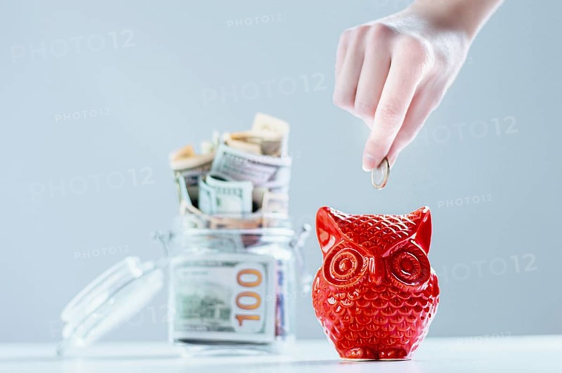 Female hand puts a coin in a piggy bank in the shape of an owl. Thrift concept.