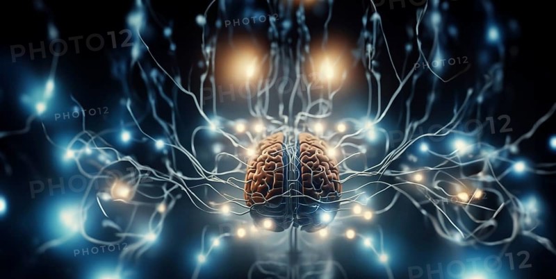 Connecting the brain to a microcircuit and processor chip