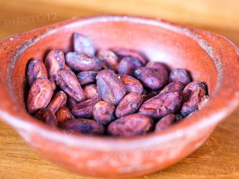 Roasted cocoa beans