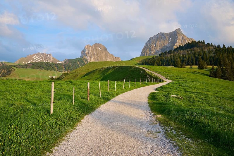 A peaceful path leads through a green meadow into a mountainous landscape under a cloudy blue sky