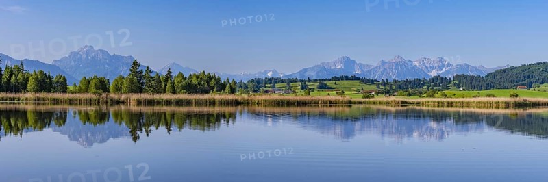Panorama at Schmutterweiher