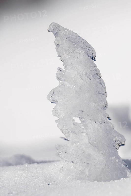 Sculptures created by ice
