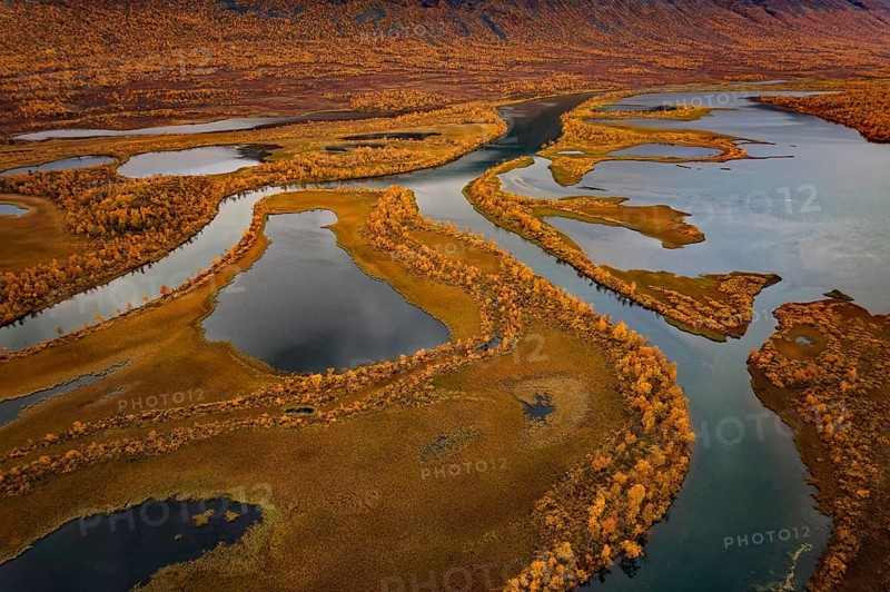 Drone image