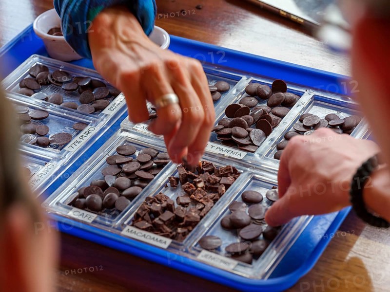 Hands reach for cocoa tasting