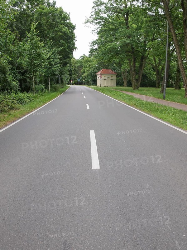 Street in Dessau