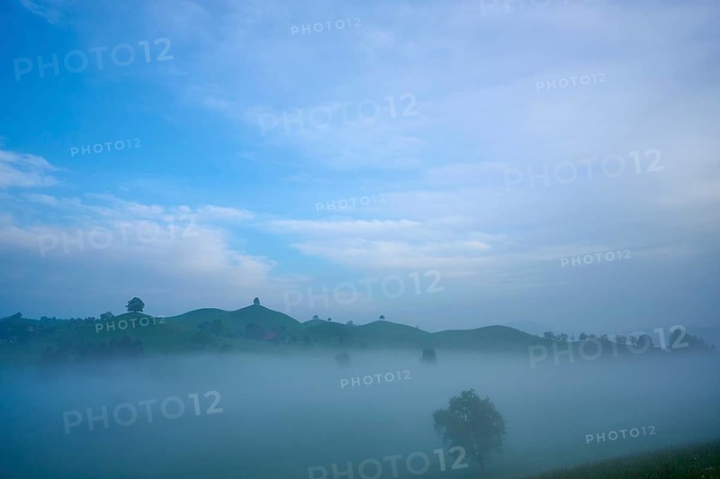 Green moraine hills landscape with meadows and lime trees with morning fog and cloudy sky