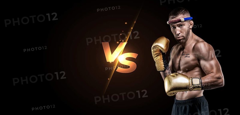 Image of a professional wrestler. Computer games. The concept of competitions