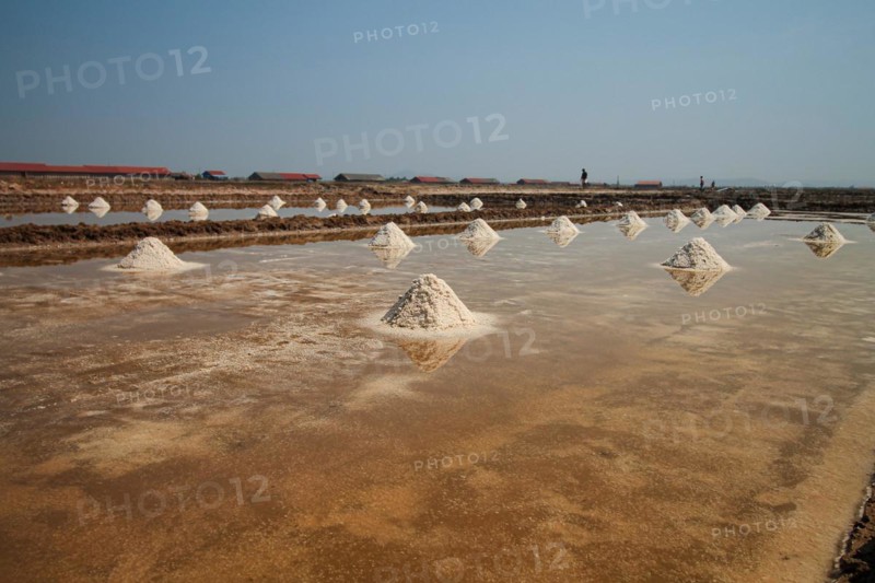 A salt farm with neat piles of harvested salt