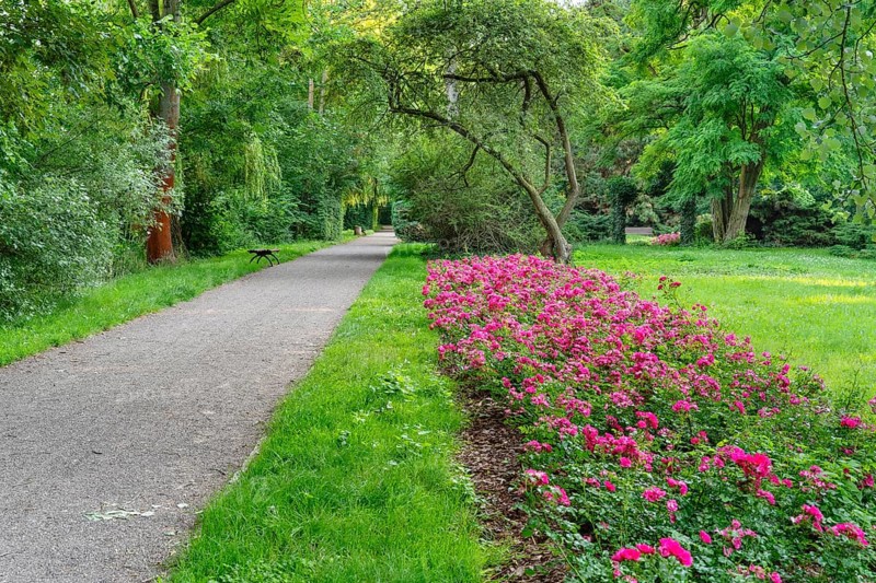 Park an der Saale
