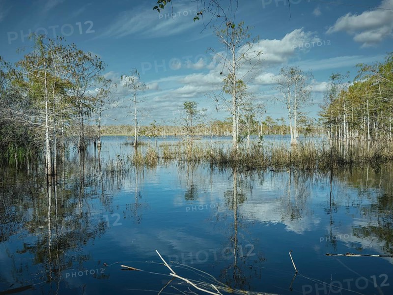 Lagoon