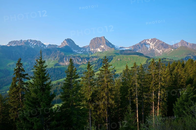 View of an idyllic mountain landscape with green forests and snow-capped peaks under a clear blue sky