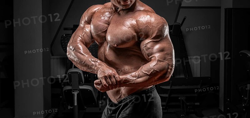 Powerful bodybuilder posing in the gym. No name portrait. Bodybuilding concept.