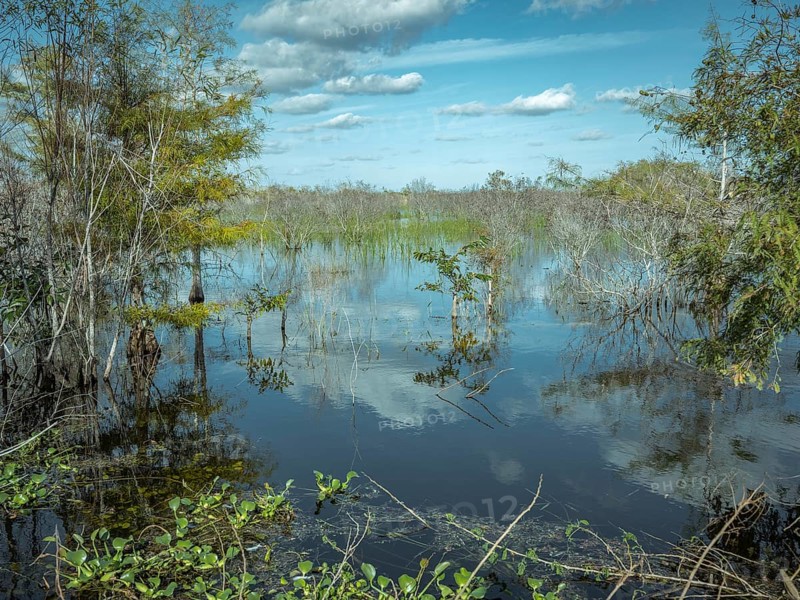 Lagoon