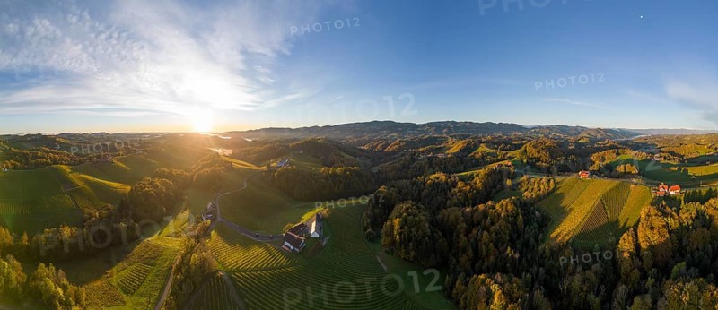 Aerial view of vineyards in the morning light