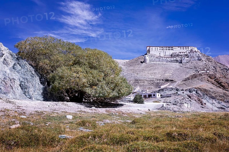 Hanle Monastery