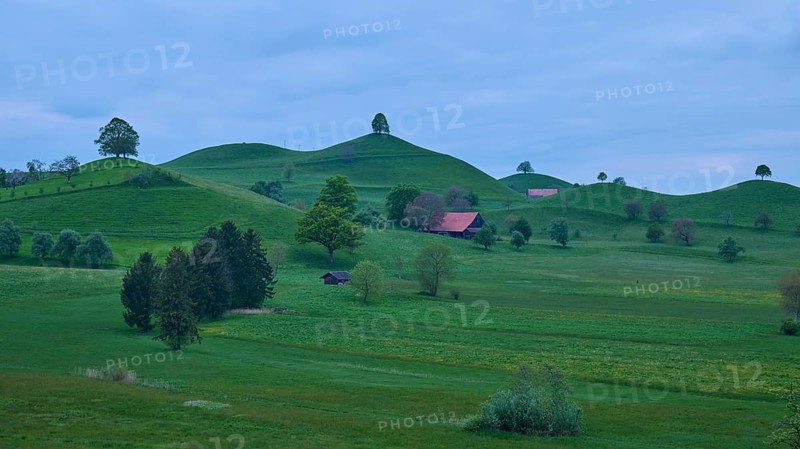 Green moraine hills landscape with meadows and lime trees and some small houses under a cloudy sky