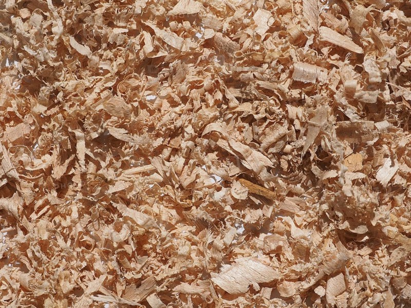 Sawdust wood dust
