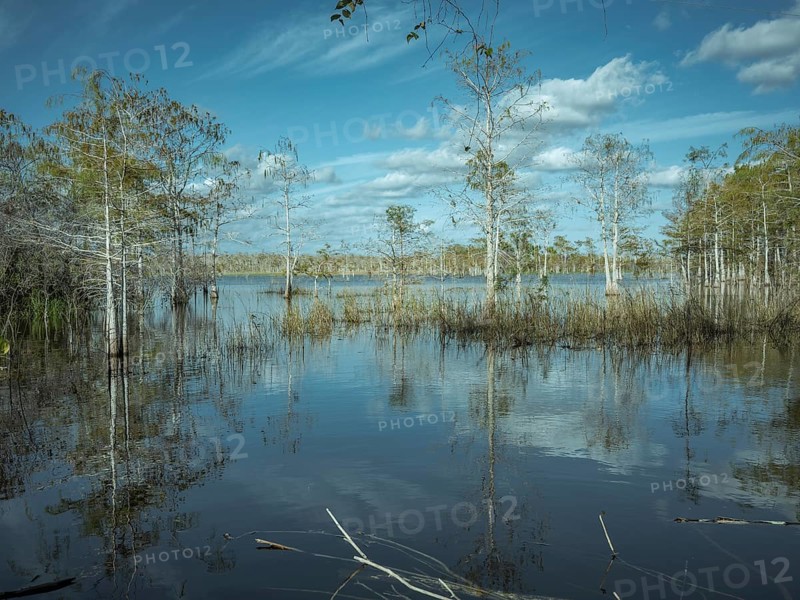 Lagoon