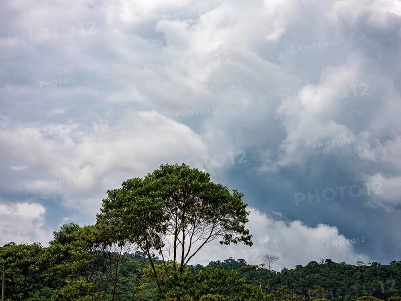 Dark clouds over the Amazon rainforest