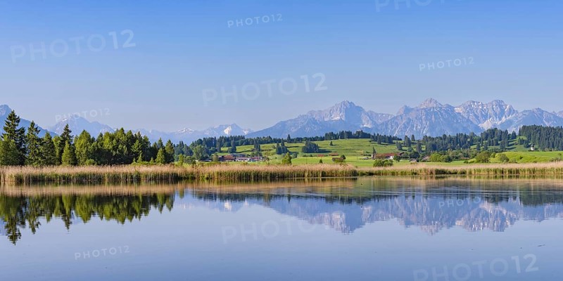 Panorama at Schmutterweiher