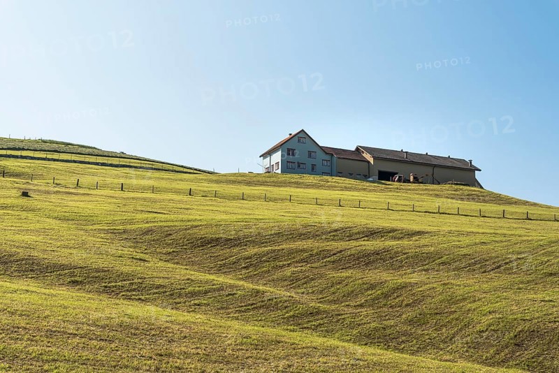 Typical Appenzell farmhouse on a hill