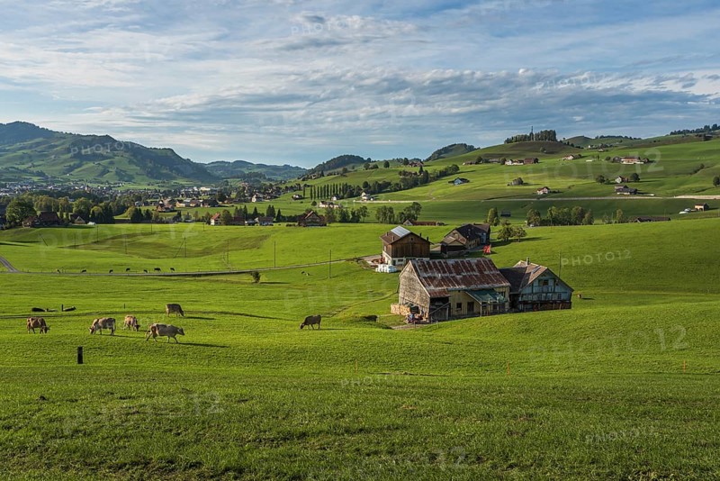 Hilly landscape in Appenzellerland