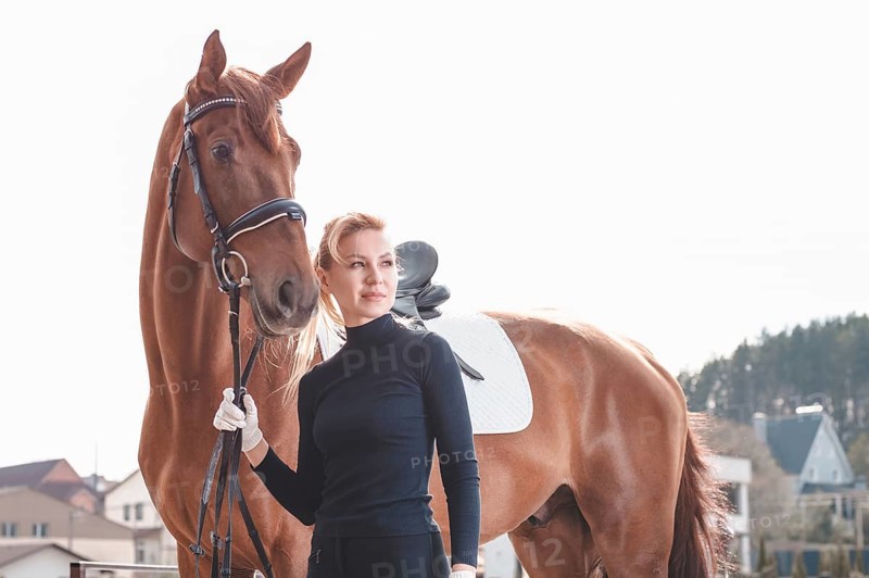 Beautiful stylish woman walking with a horse in a country club. Equestrian sport