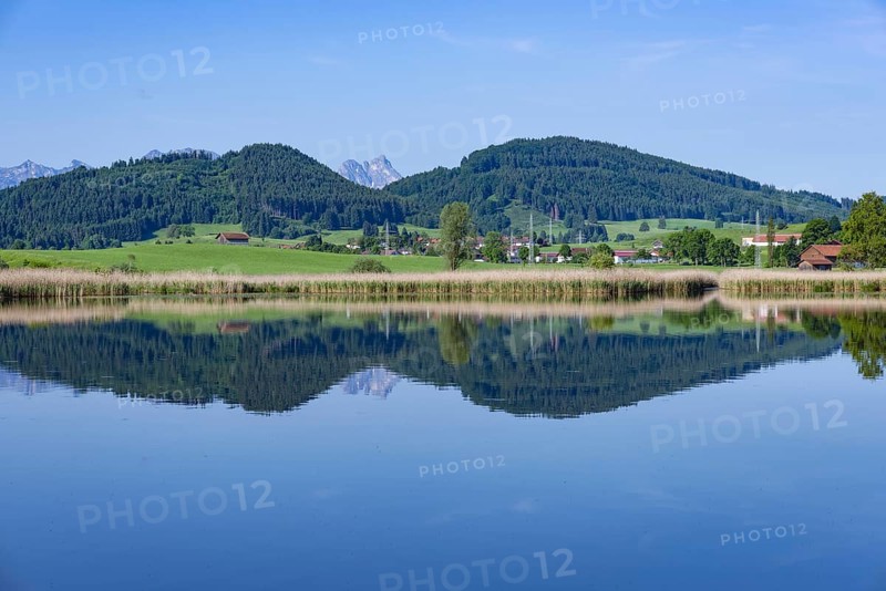 Panorama at Schmutterweiher