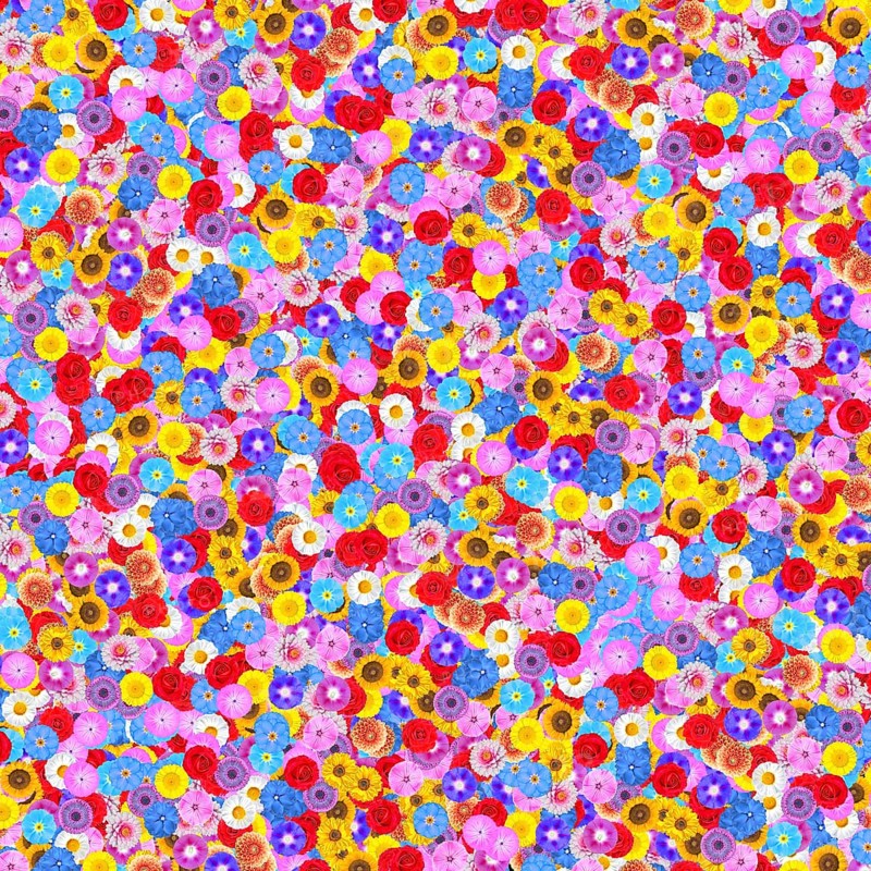 Lots of blossoms