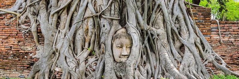 Sandstone head of a Buddha statue