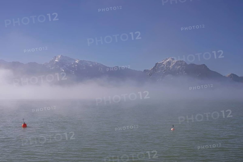 Morning atmosphere at Forggensee