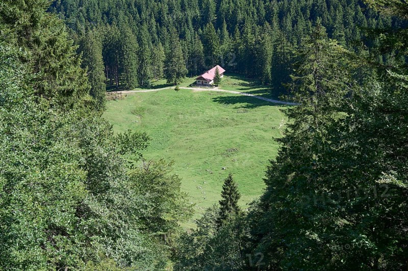 Orterer Alpe