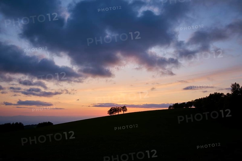Wind beeches at sunset with cloudy sky in spring